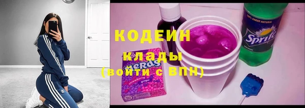 apvp Гусев