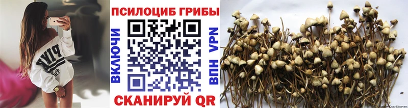 Галлюциногенные грибы Magic Shrooms Бутурлиновка